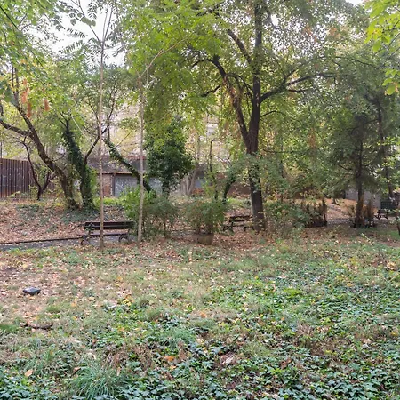 Ultracentral Cozy Apartament